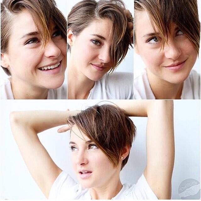 Shailene Woodley aktris muda cantik nan mempesona 