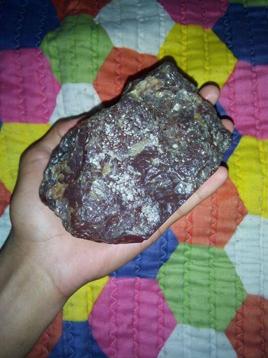ROUGH RED BARON RAFLESIA BERAT 1KG KUALITAS SUPER