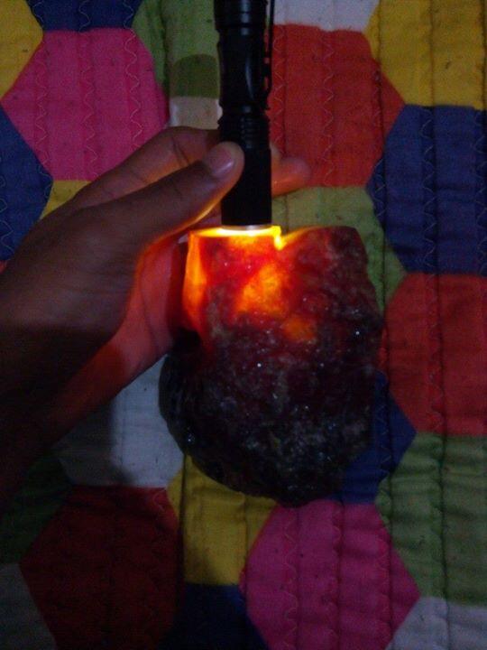 terjual baron raflesia berat 1kg kualitas terjual baron raflesia berat 1kg kualitas