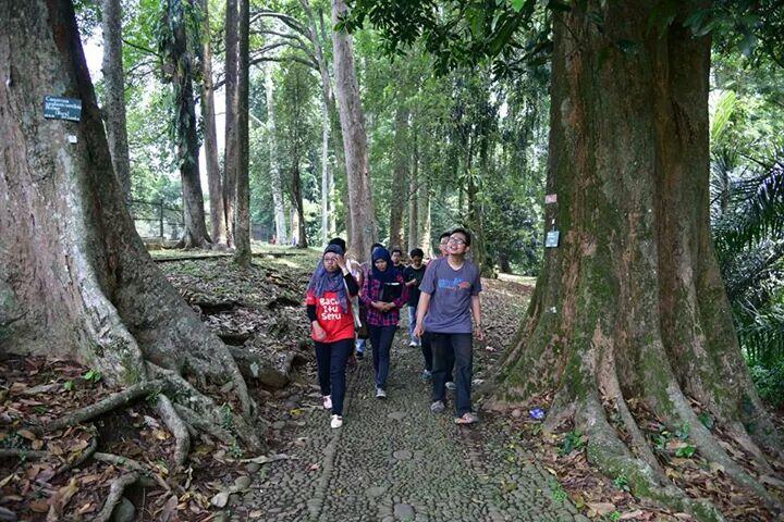 FR Gathering Mini: Piknik Hore di Kebun Raya Bogor