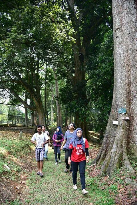 FR Gathering Mini: Piknik Hore di Kebun Raya Bogor