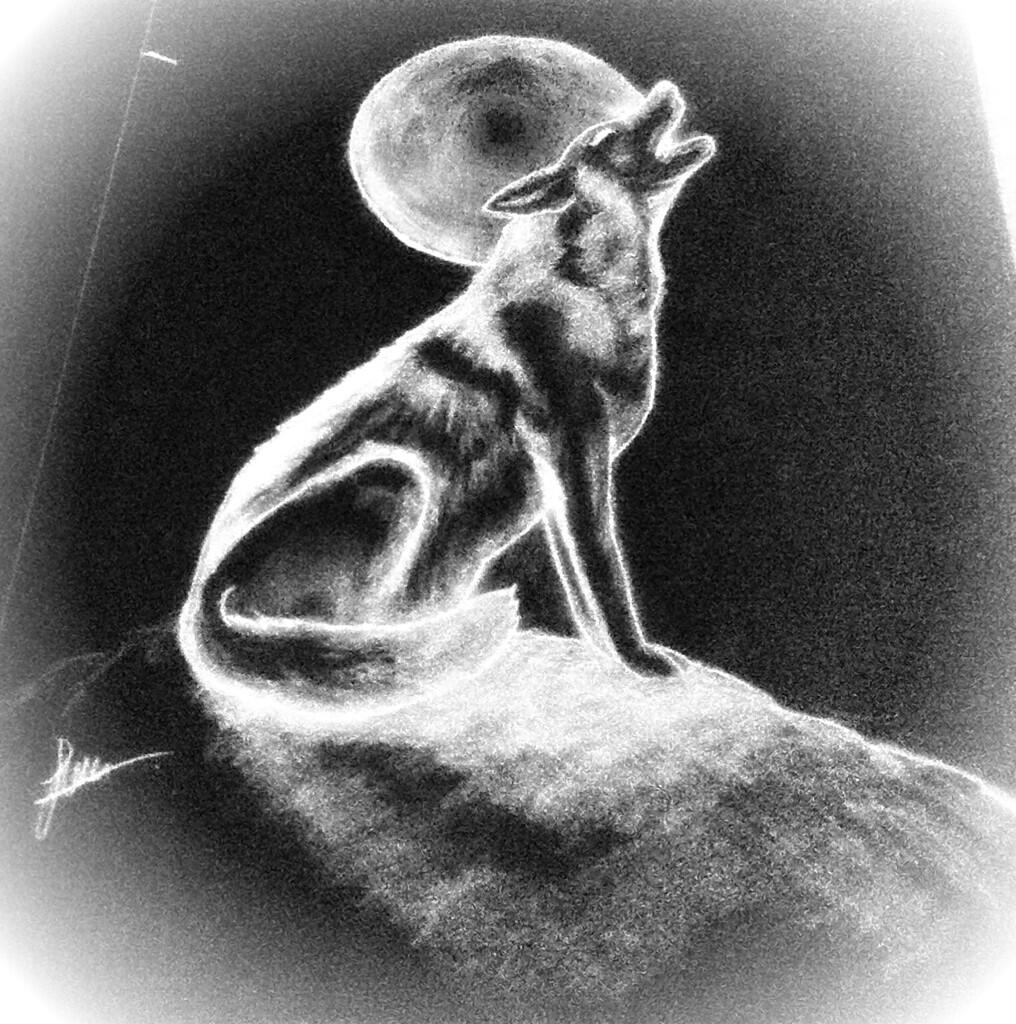 iseng iseng gambar