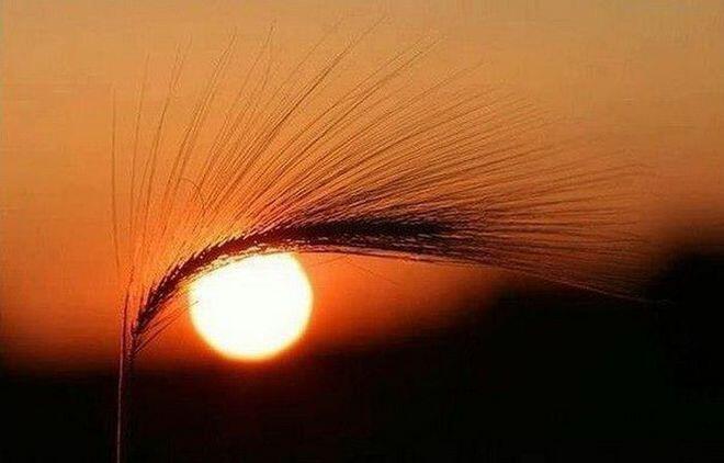 8 Foto Konyol Ini Bisa Bikin Kamu Tertipu, Lihat Sekali Lagi!!