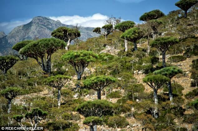 10 TEMPAT TERANEH DAN PALING MISTERIUS DI BUMI (ASLI)