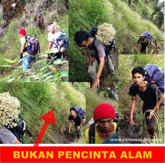 JANGAN DITIRU...‘PENCURI’ ...BERGAYA PECINTA ALAM