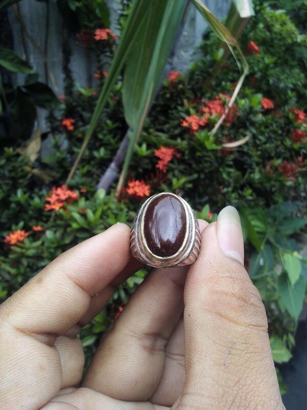 terjual bacan murah meriah terbit tengah malah 14 kaskus terjual bacan murah meriah terbit tengah malah 14 kaskus