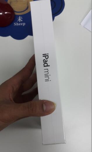 iPad mini wifi 16 GB