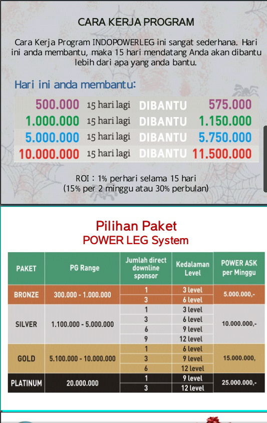 INDOPOWERLEG Sistem Monoleg murni (SPILLOVER FOREVER)