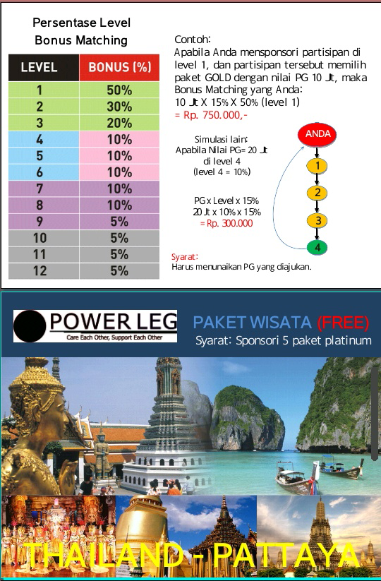 INDOPOWERLEG Sistem Monoleg murni (SPILLOVER FOREVER)
