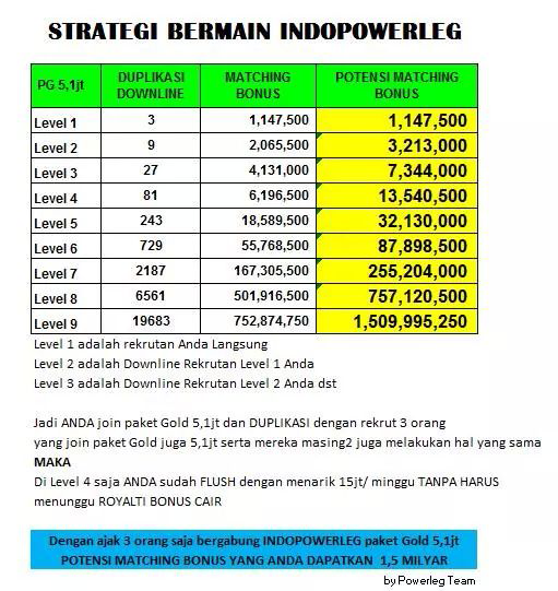 INDOPOWERLEG Sistem Monoleg murni (SPILLOVER FOREVER)