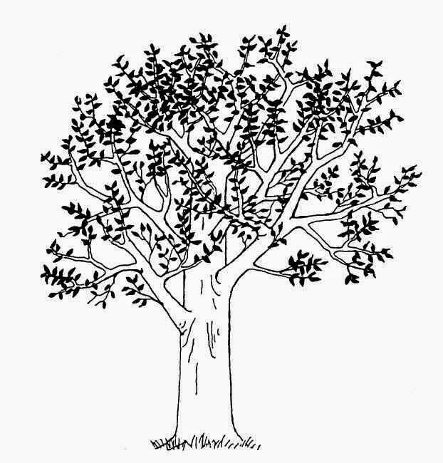 Trik Menggambar Pohon Saat Psikotes Campur Aduk
