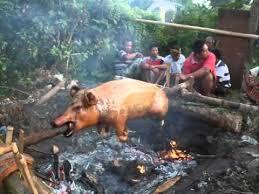 Ada yang tau cara menyiksa babi?