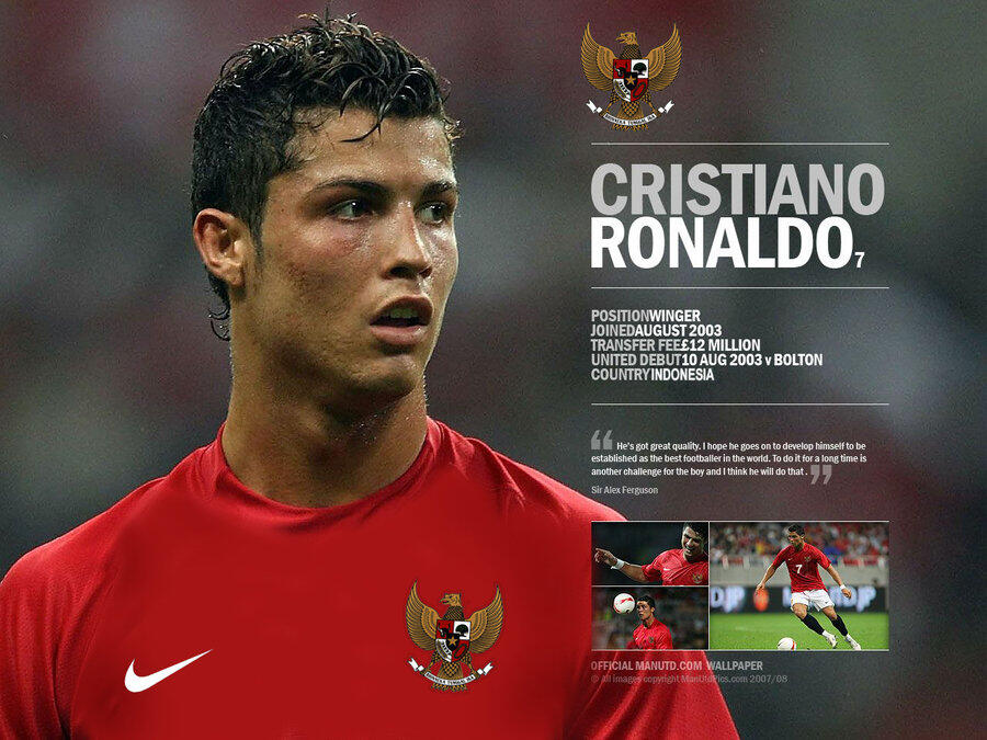 Edisi Timnas Senior di Ajang AFF