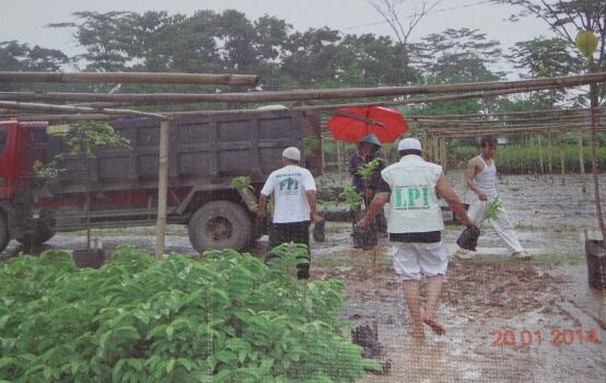 Antisipasi Banjir Jakarta, FPI Targetkan Satu Juta Pohon Tertanam di Puncak Bogor