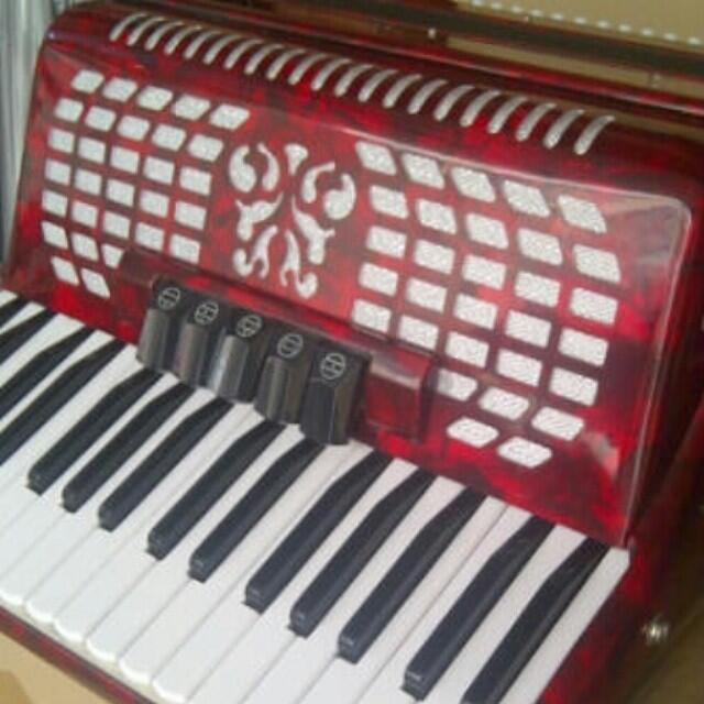 Jual Accordion merk vienna with hardcase