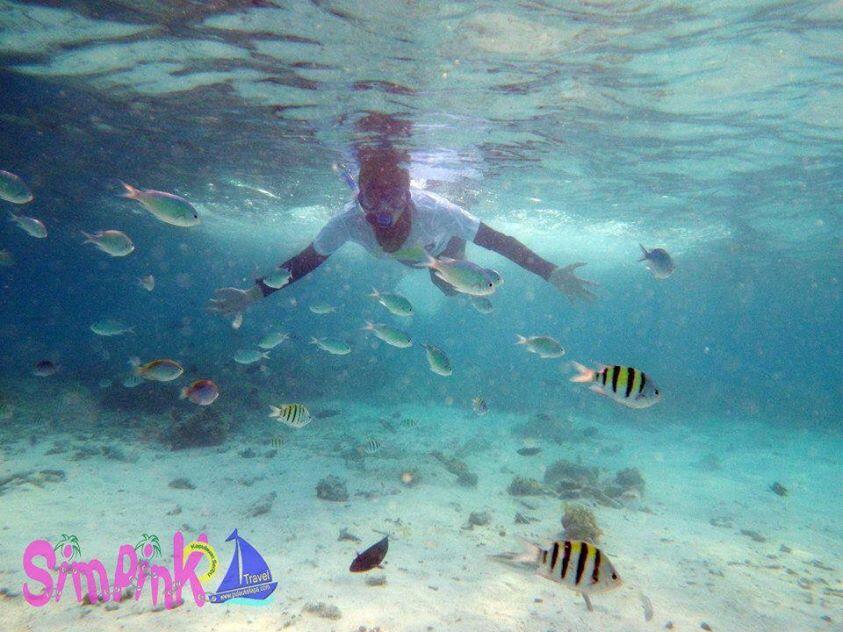 Mengenal Pulau Harapan, Kepulauan Seribu Lebih Dekat