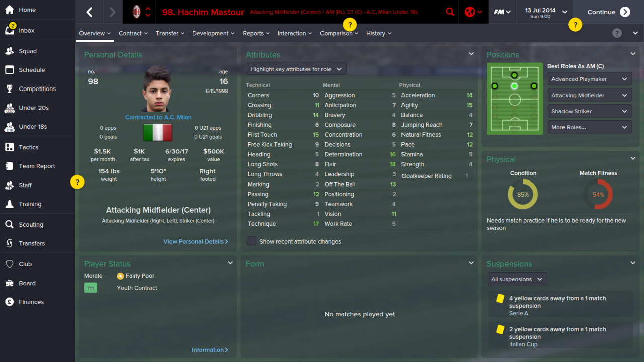 FOOTBALL MANAGER 2015 + MEGAPACK KITS,METALLIC LOGO & FACES (FM 15 3DM)