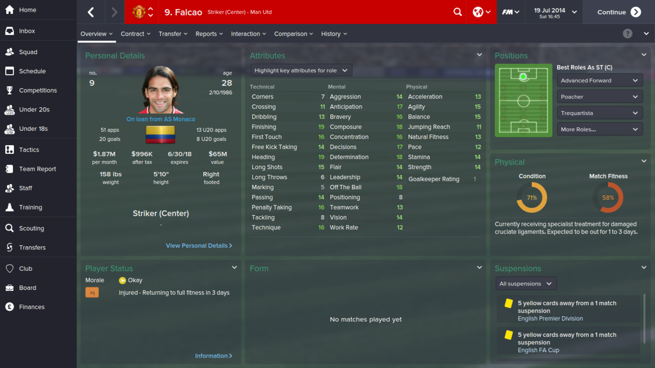 FOOTBALL MANAGER 2015 + MEGAPACK KITS,METALLIC LOGO & FACES (FM 15 3DM)