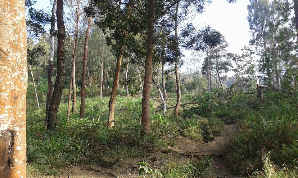 END OF SUMMER AT MERBABU MOUNTAIN