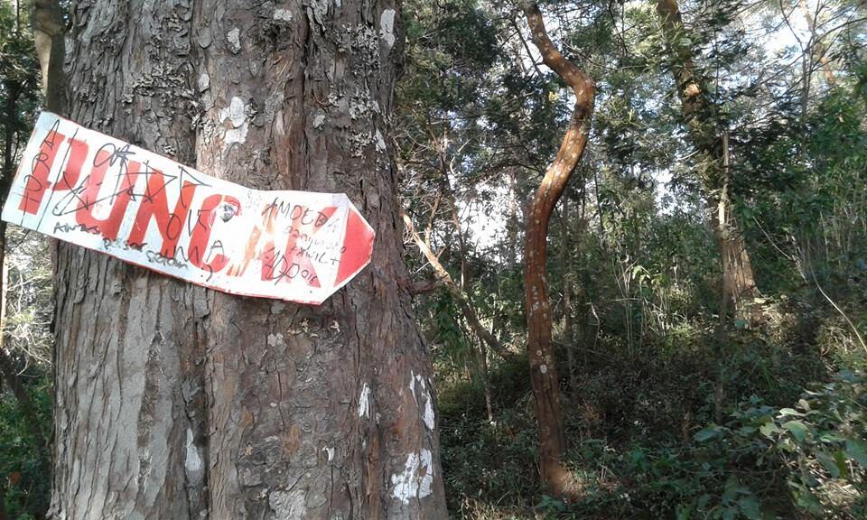 END OF SUMMER AT MERBABU MOUNTAIN