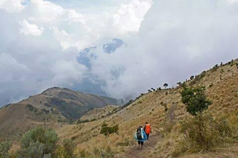 END OF SUMMER AT MERBABU MOUNTAIN