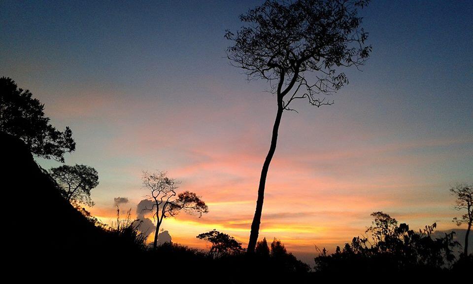 END OF SUMMER AT MERBABU MOUNTAIN