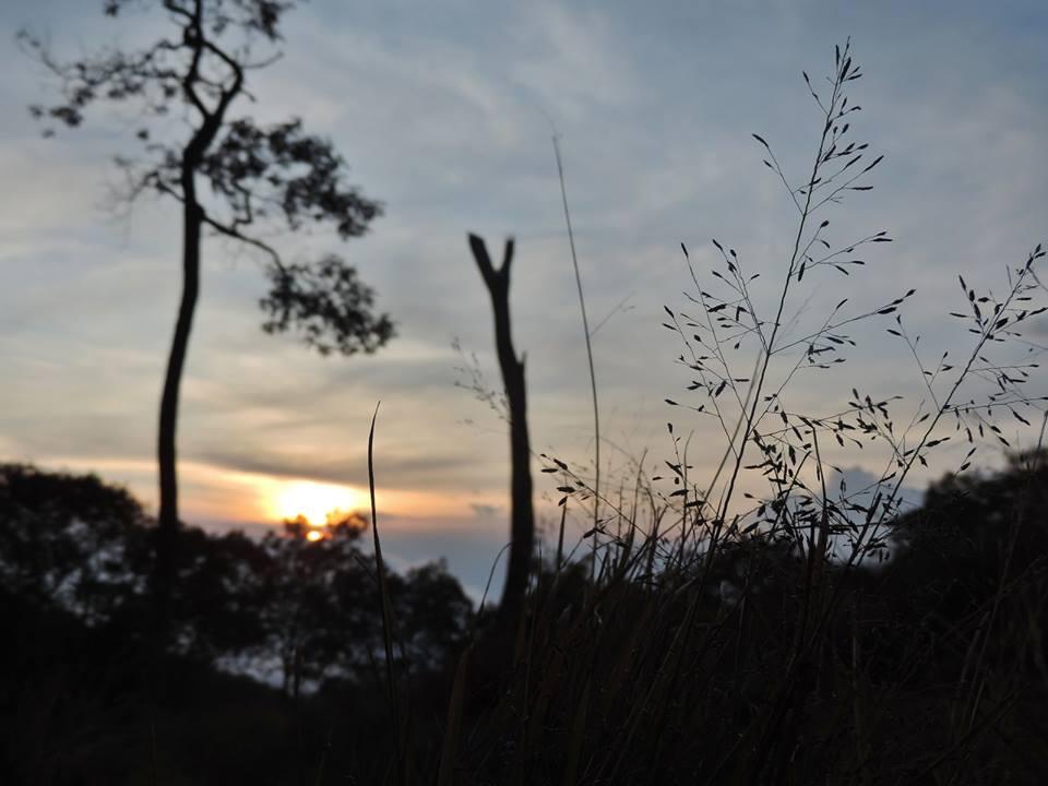 END OF SUMMER AT MERBABU MOUNTAIN