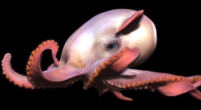 Mengenal Gurita, Makhluk Cerdas di Laut Lepas