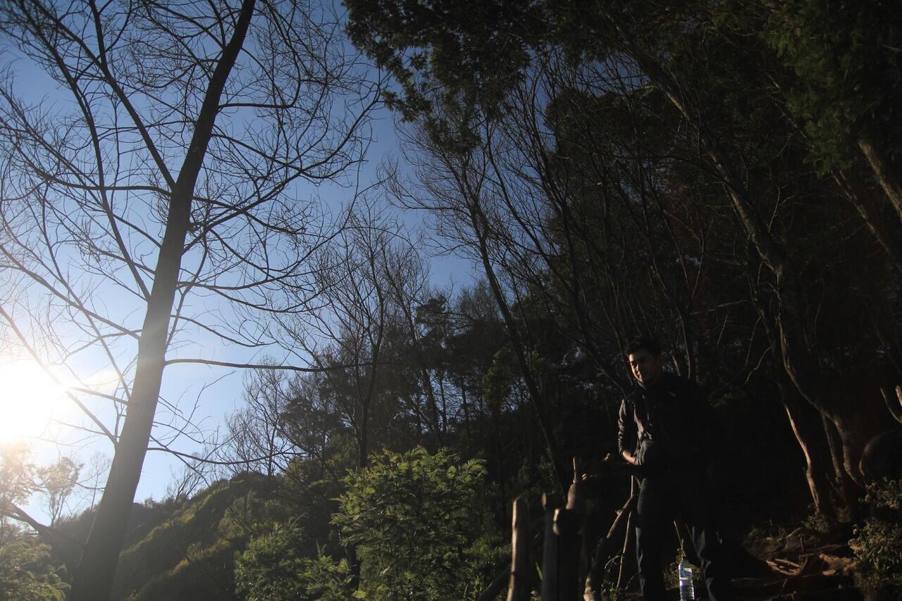 &#91;FR&#93; Solo Trip Jakarta - Dieng (BWK)