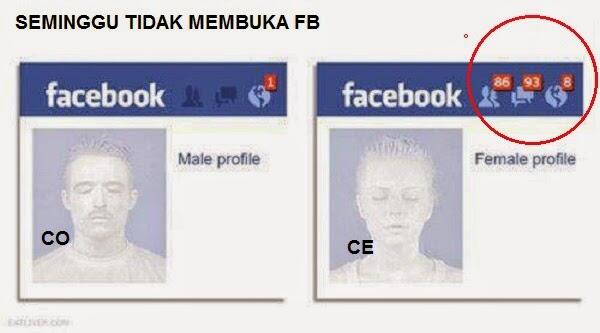 Mengenal perbedaan wanita dan laki-laki 