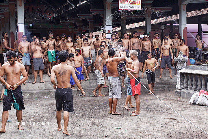 TRADISI NRAGAP "Mencabik Mayat" DIBALI