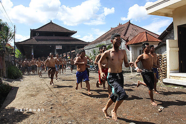 TRADISI NRAGAP "Mencabik Mayat" DIBALI
