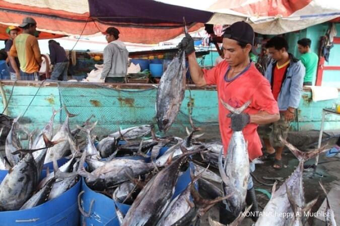 ( EFek Tong Kosong ) Harga ikan turun efek penanganan illegal fishing 