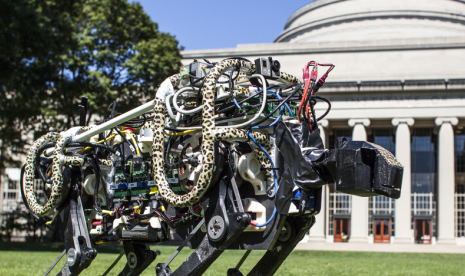 Ini Dia Robot Canggih Buatan MIT (Cheetah)