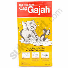 INI YANG LEBIH GREGET DARI PARFUM HORNY !!!!!