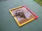 INI YANG LEBIH GREGET DARI PARFUM HORNY !!!!!