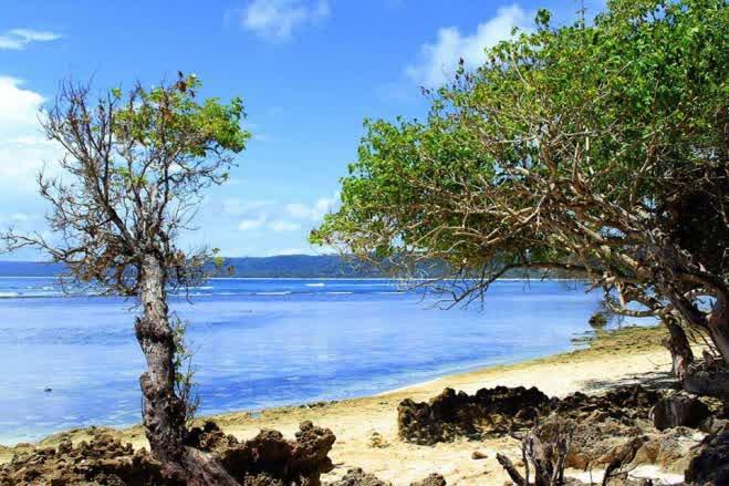 &#91;LANGKA&#93; Kekayaan Pantai Yang Belum Diketahui Banyak Orang di Jawa Timur