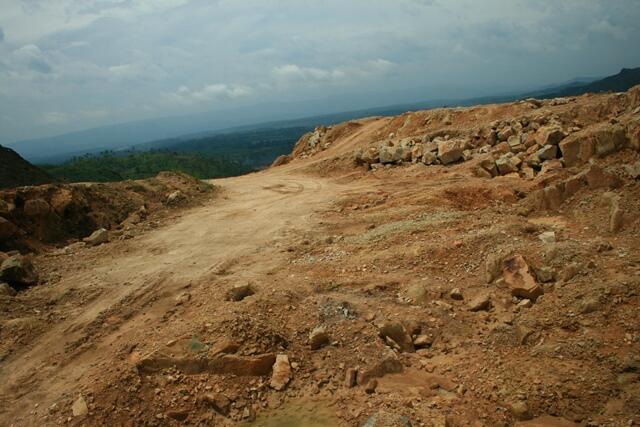 Reklamasi Tambang menjadi Hutan Pendidikan (HEF)