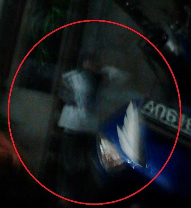 Gan,,,!!! Apakah ini gambar Penampakan...???