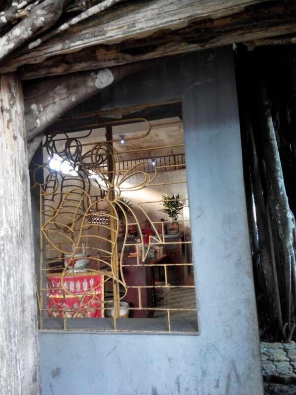 Ajaib! Kelenteng di Dalam Pohon Beringin