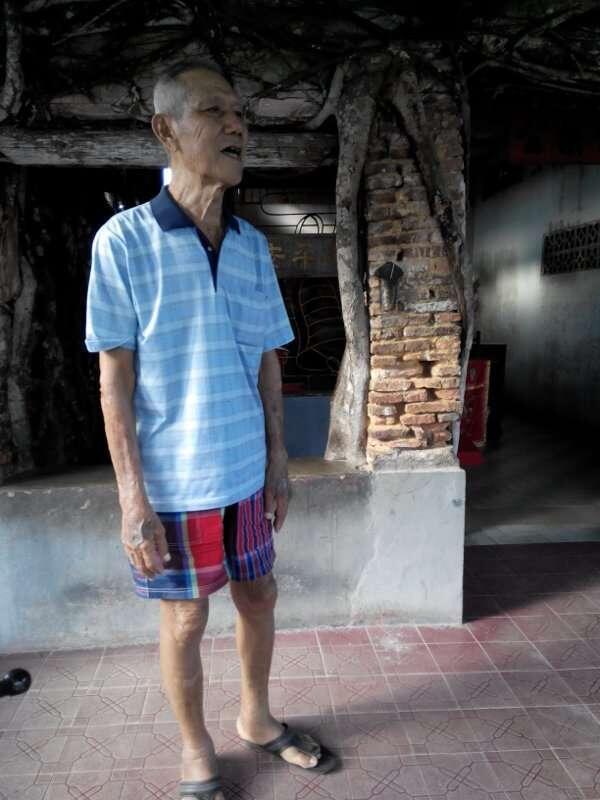 Ajaib! Kelenteng di Dalam Pohon Beringin