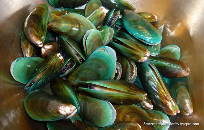 :cendols Hewan menjijikkan yang punya manfaat besar