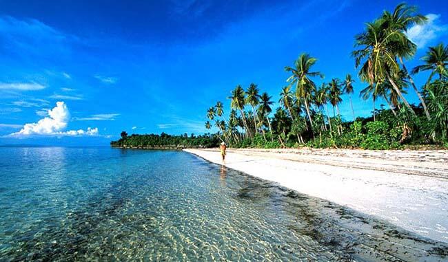 7 Lokasi Surga Dunia Yang Ada di Bawah Laut Indonesia