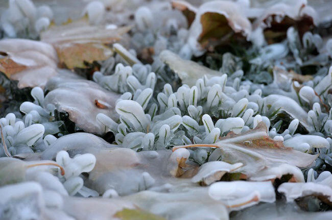 Apa yg terjadi jika pipa air pecah dan menyemburkan airnya ditemperatur -5.6°C ?