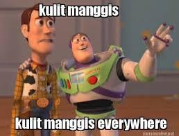 Meme Terkenal Selama Tahun 2014 (+Urutan bulannya)