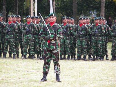 PASUKAN PASUKAN ELITE TNI INDONESIA 