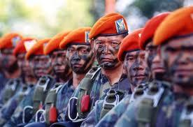 PASUKAN PASUKAN ELITE TNI INDONESIA 