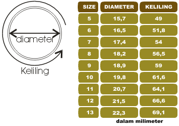 LELANG BATU NATURAL BUAT TAHUN BARU CLOSED 06/12/14 PKL 20.00