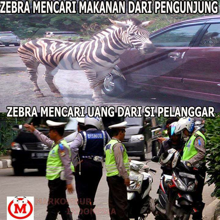 Operasi Zebra memiliki arti mendalam