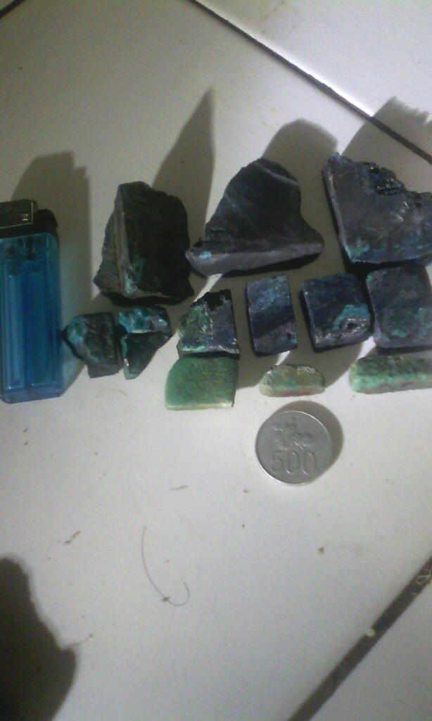 rough bacan borongan